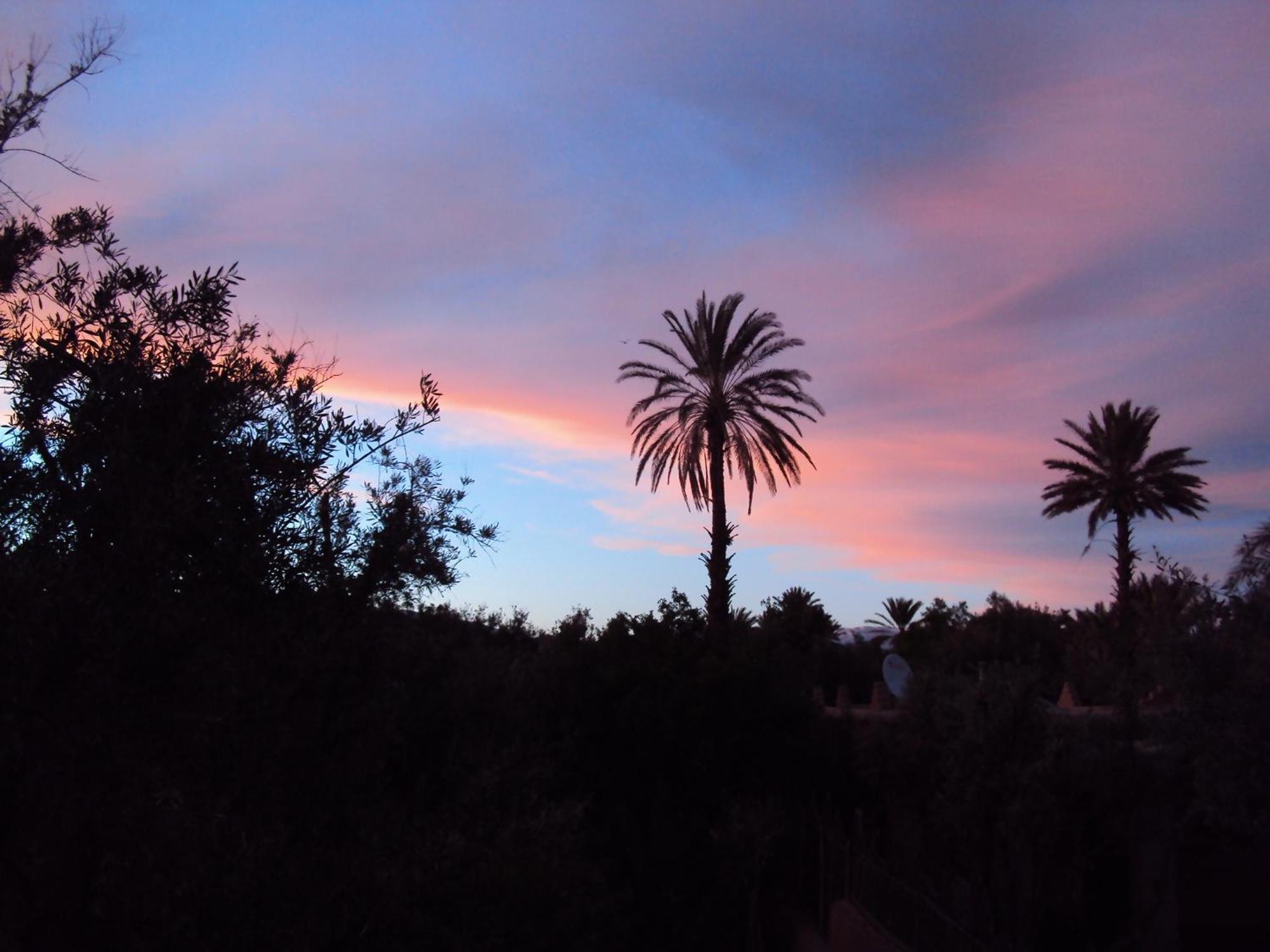 Dar Lorkam Bed & Breakfast Skoura Exterior photo