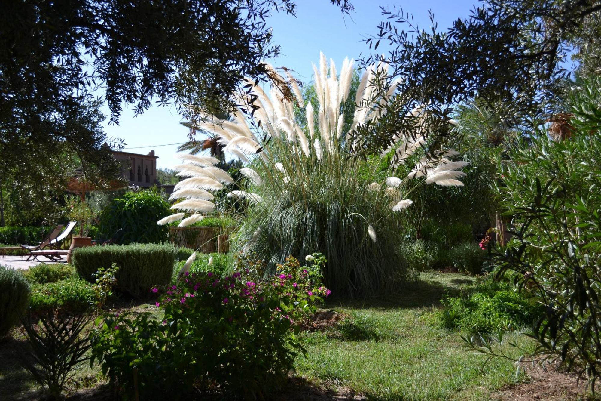 Dar Lorkam Bed & Breakfast Skoura Exterior photo